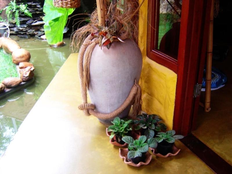 Pousada Bambu Brasil São Jorge Kültér fotó